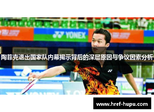 陶菲克退出国家队内幕揭示背后的深层原因与争议因素分析